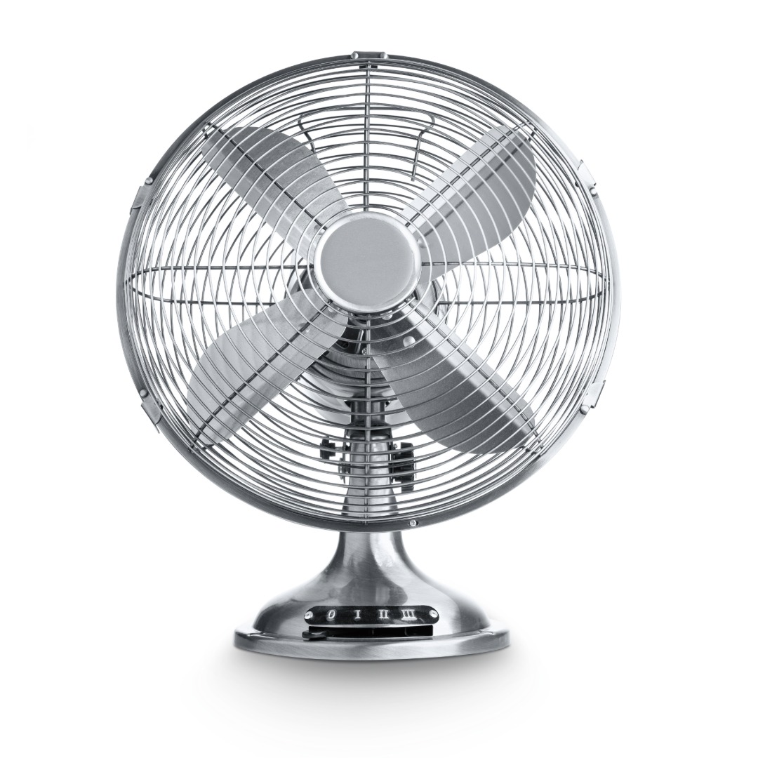 Fans