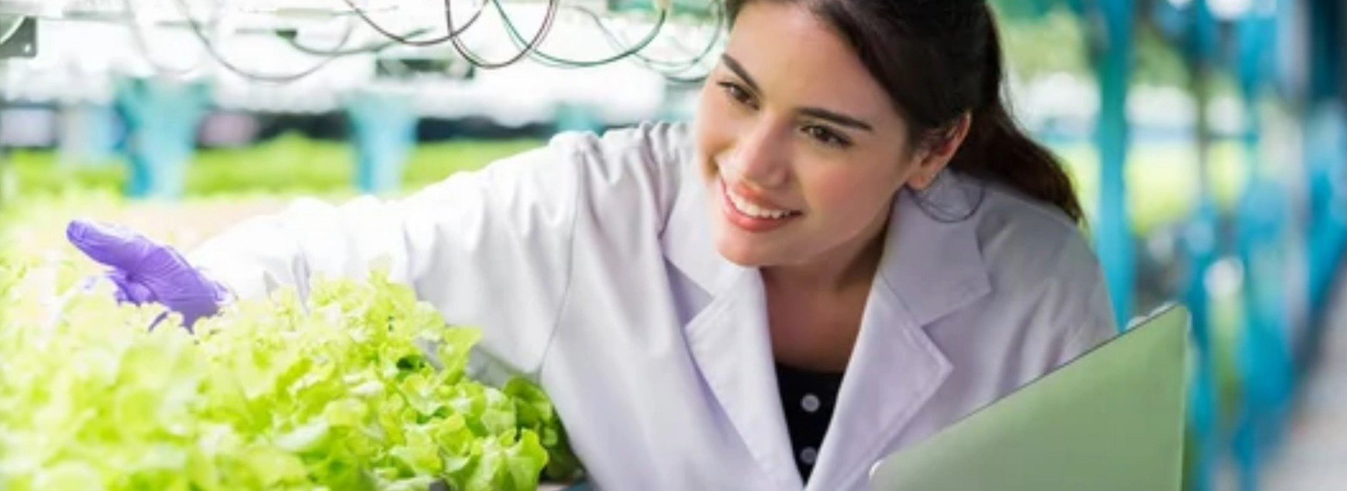 Environmental Services