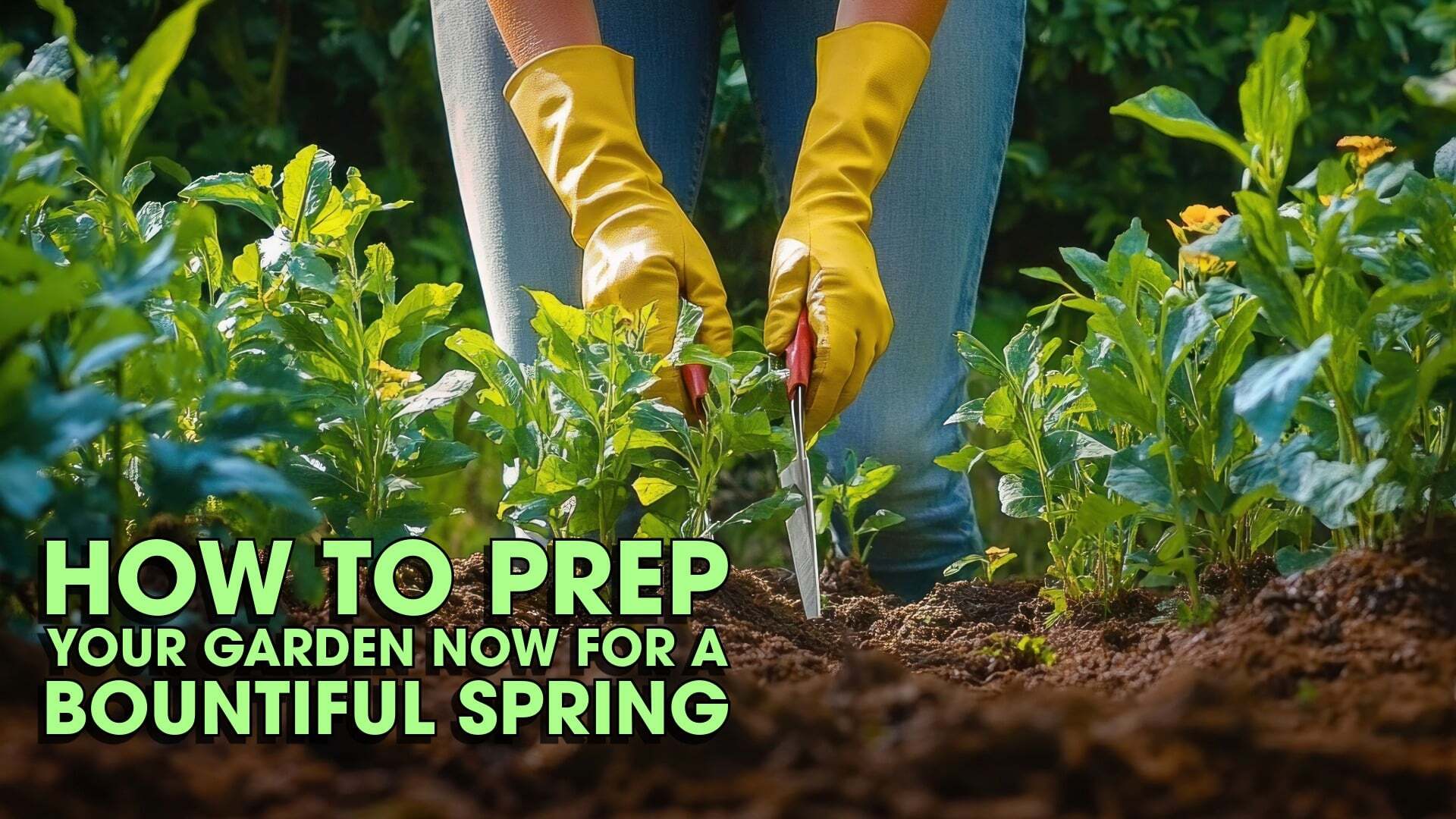 How to Prep Your Garden Now for a Bountiful Spring