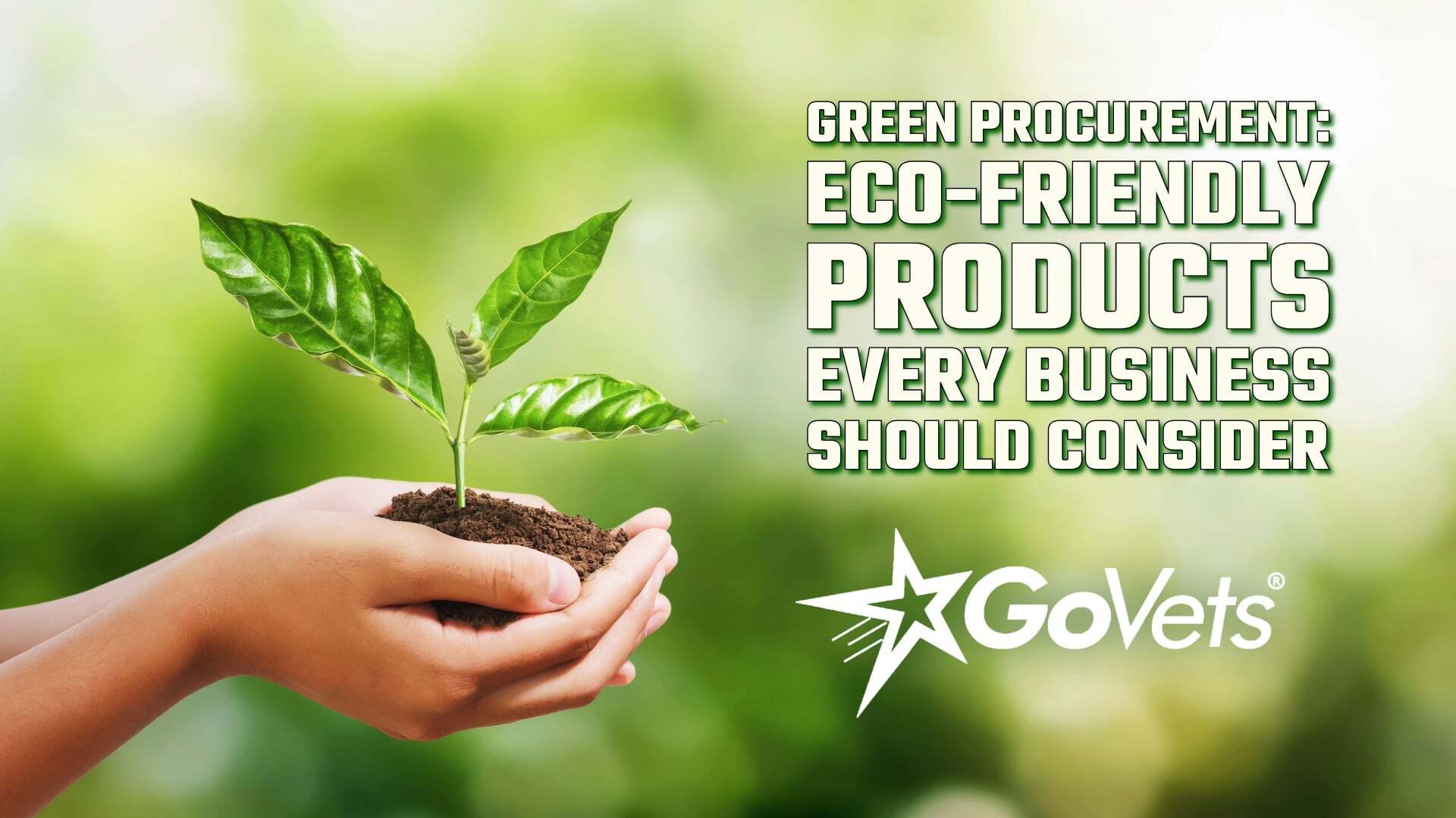 Green Procurement: Eco-Friendly Products Every Business Should Consider